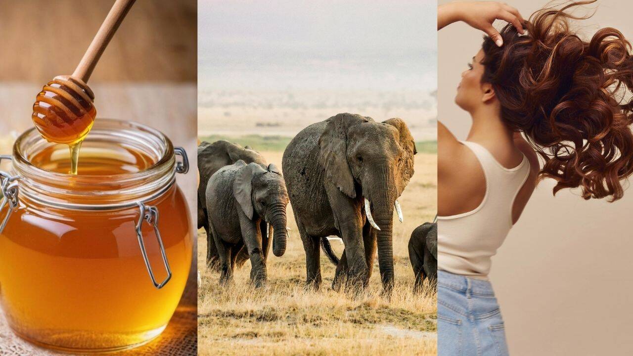 14 scientific facts you probably didn't know