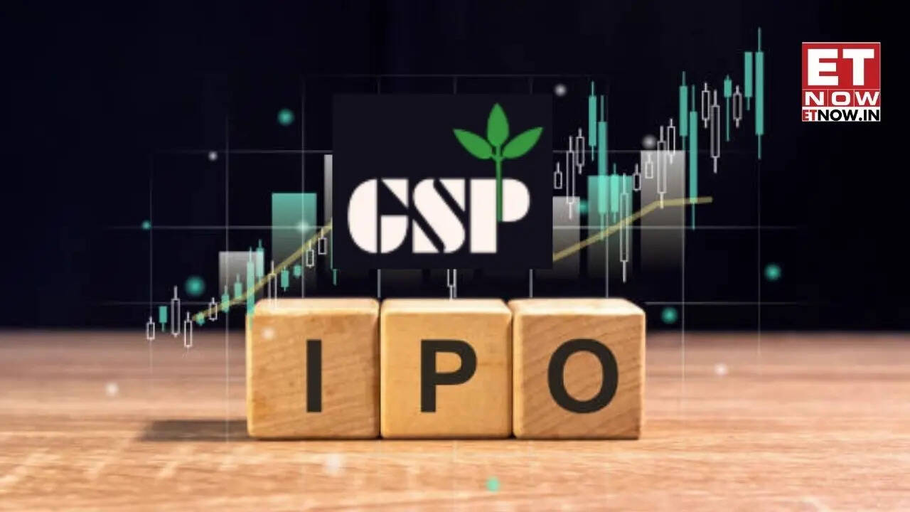 GSP Crop Science IPO Listing: Shares debut at Rs 328 on NSE - Markets