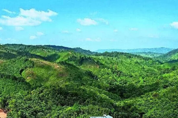 Army called out, Net blocked after 2 killed in violence in run-up to Meghalaya council polls | Guwahati News