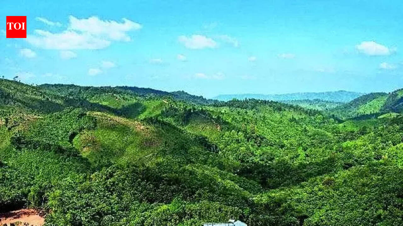 Army called out, Net blocked after 2 killed in violence in run-up to Meghalaya council polls | Guwahati News