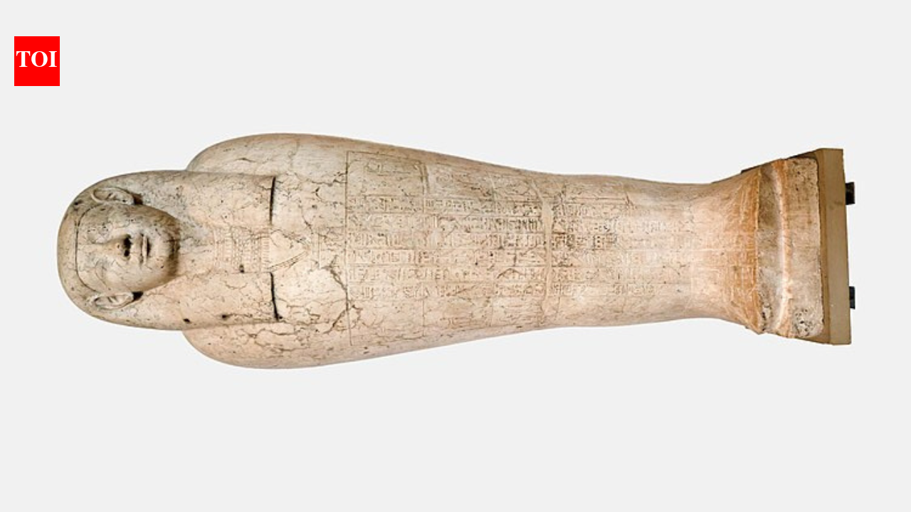 2,000-year mystery in Egypt: Skeletons in sarcophagus once linked to Alexander the Great’s tomb spark ‘mummy curse’ rumours |