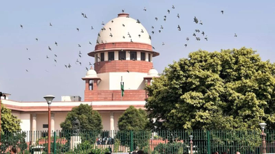 'Unsustainable in law': SC rules OBC creamy layer status cannot be decided on income alone | India News