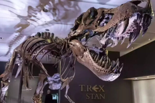 Are dinosaurs younger than we thought? Crocodile study challenges long-held age estimates |