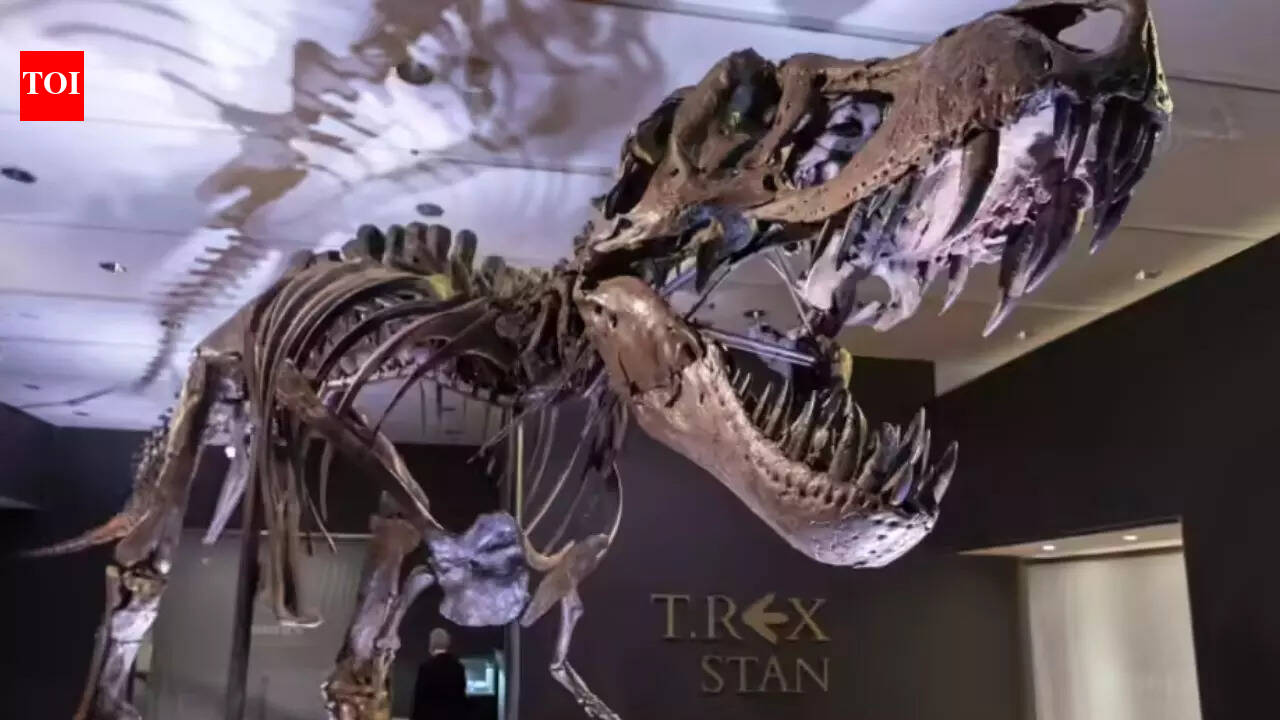 Are dinosaurs younger than we thought? Crocodile study challenges long-held age estimates |