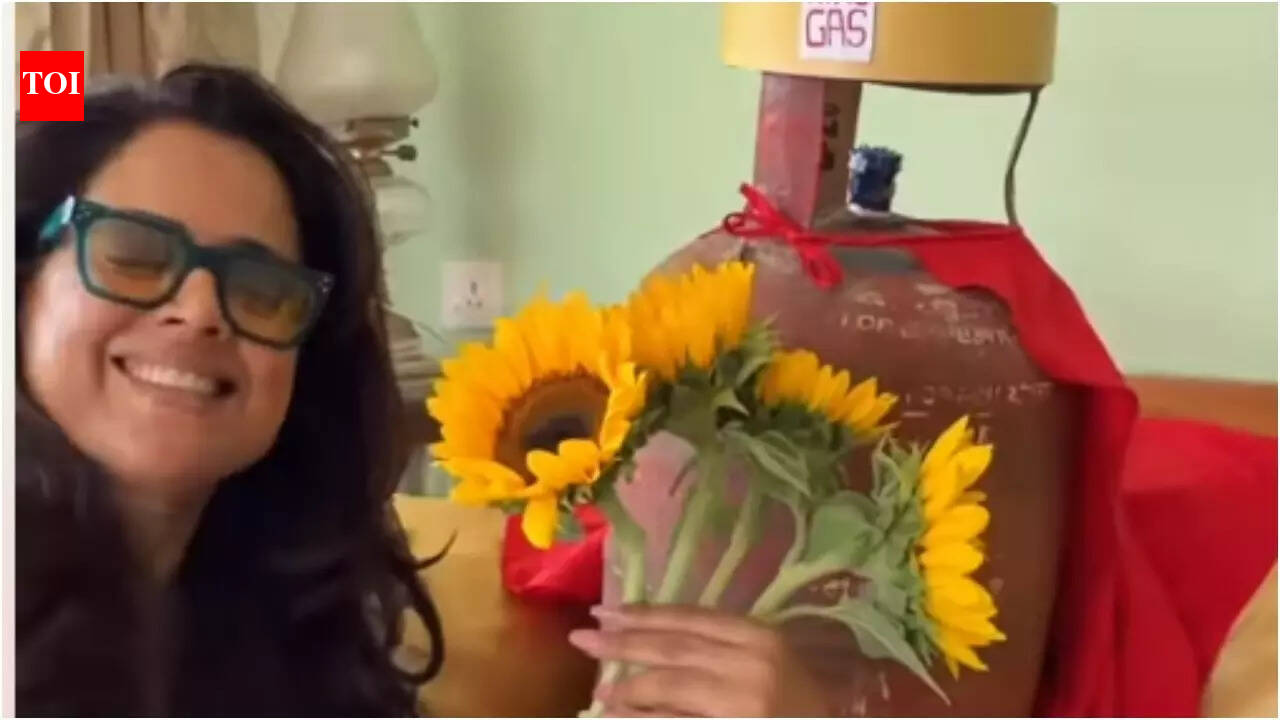 'VIP has finally arrived': Sameera Reddy's hilarious LPG reel grabs attention - watch video | Hindi Movie News