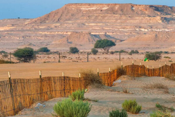 This country has almost no natural forests, and the reason might surprise you |