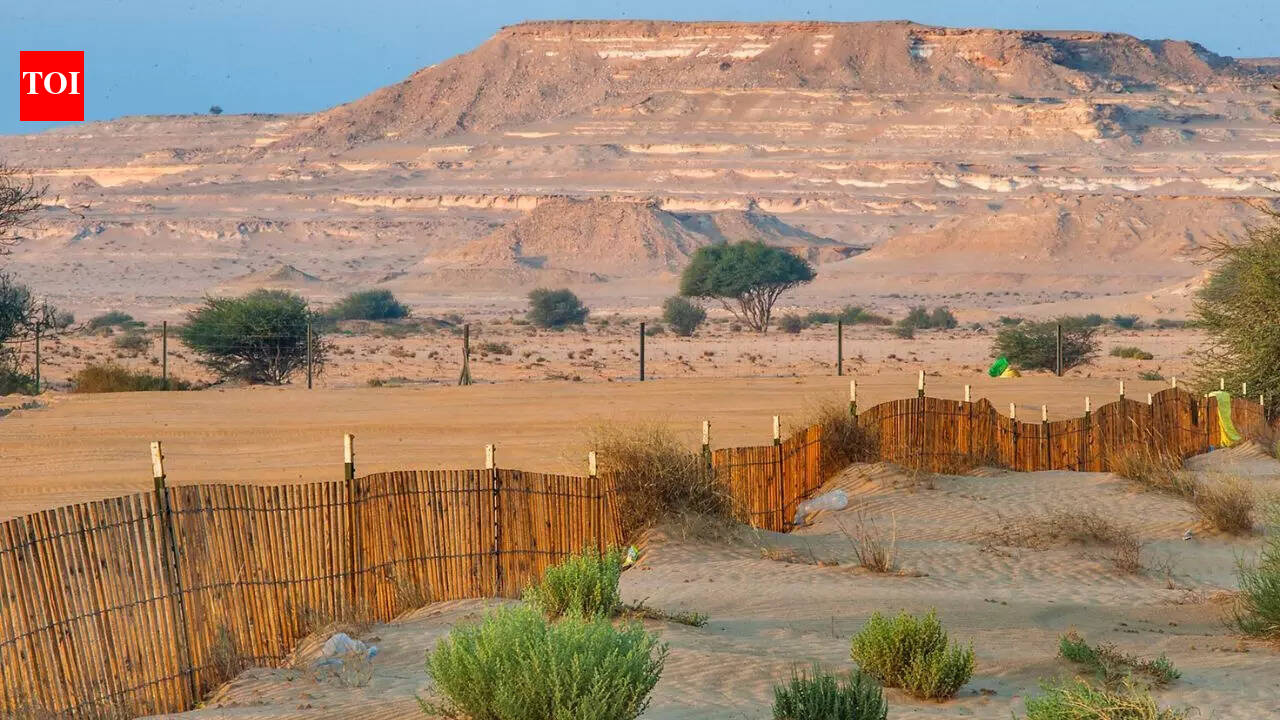 This country has almost no natural forests, and the reason might surprise you |