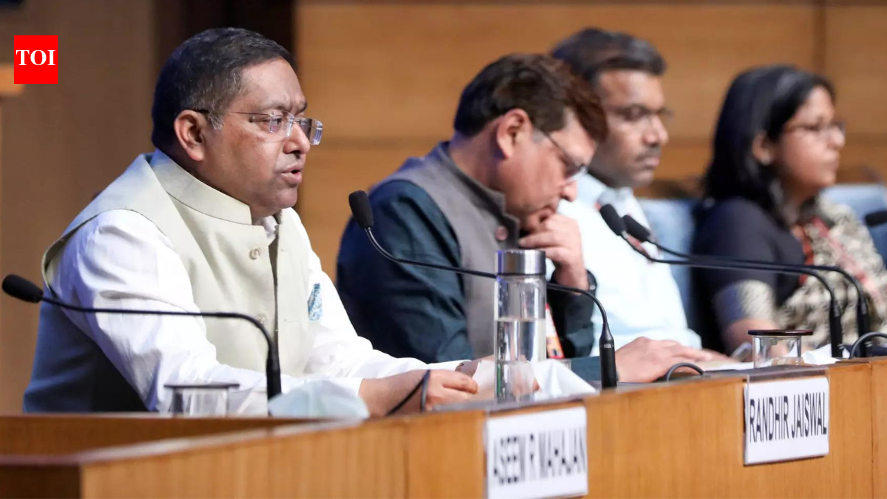 'Distorted picture of India': MEA slams US report recommending sanctions on RSS, R&AW | India News