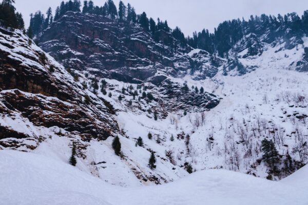 Atal Tunnel Snow Update: Himachal: Tourists spend night in cars as snow traps vehicles Near Atal Tunnel; snow clearance in full swing |