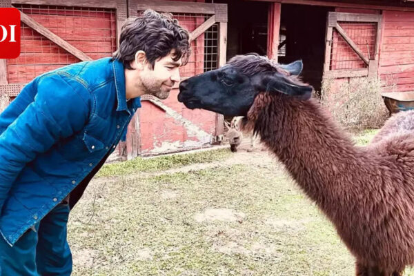 'The Devil Wears Prada' actor Adrian Grenier on the one condition for an acting comeback: 'I’d like to stay close to home' | English Movie News