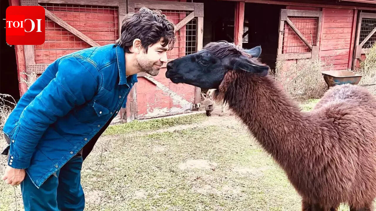 'The Devil Wears Prada' actor Adrian Grenier on the one condition for an acting comeback: 'I’d like to stay close to home' | English Movie News