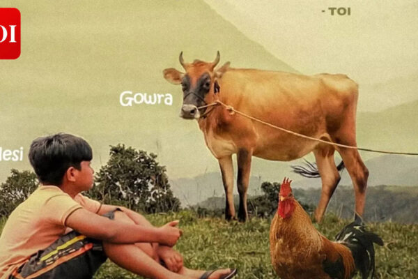 'Valavaara' OTT release: When and where to watch Sutan Gowda's coming-of-age drama | Kannada Movie News
