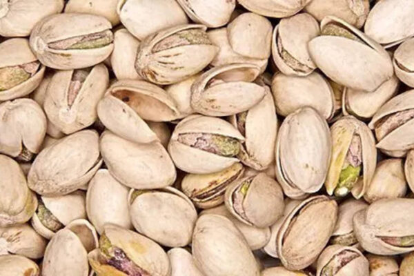 Grow a pistachio plant at home: The right way to build your own mini garden |