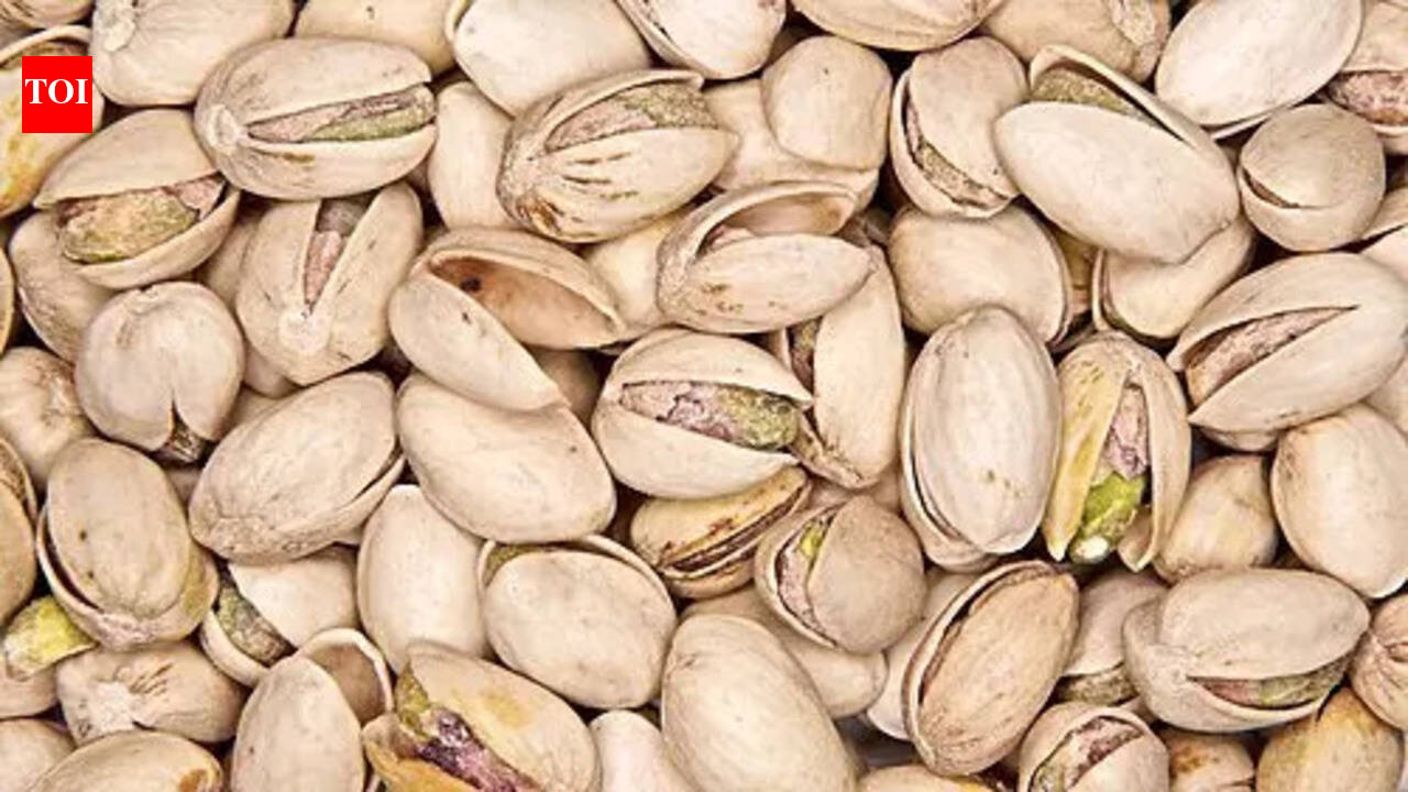 Grow a pistachio plant at home: The right way to build your own mini garden |