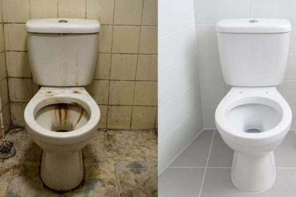 How to clean your toilet seat without using a brush: Try this toothpaste and baking soda hack |