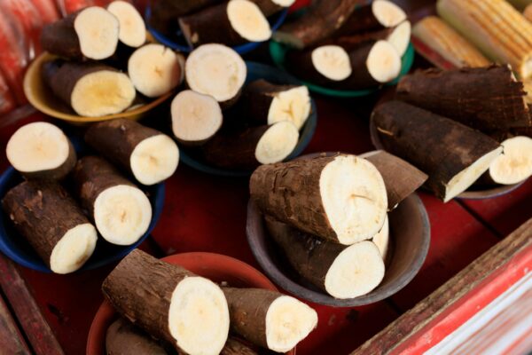 Does sabudana grow on trees or is it factory-made: The simple truth |