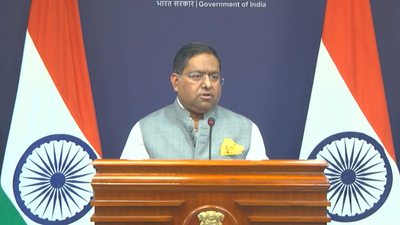 'Systemic victimisation of minorities': India slams Pakistan army chief’s ‘go to Iran’ remark to Shia community | India News