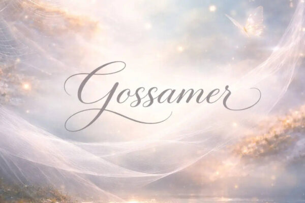 Word of the Day: Gossamer |
