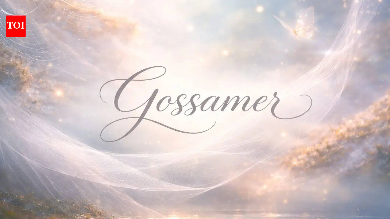 Word of the Day: Gossamer |