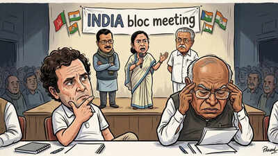 India Bloc: Allies in Delhi, rivals in states: Why Congress should quit INDIA bloc, fight regional parties | India News