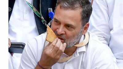 Retired officials demand Rahul Gandhi's apology over Parliament protest | India News