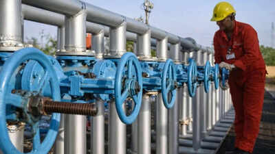 Govt secures extra LNG via spot buying to make fertilisers