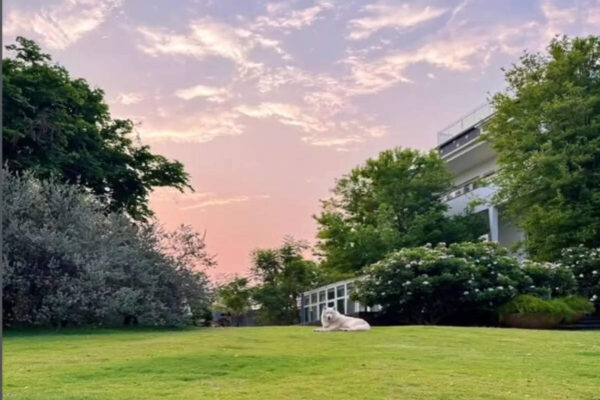 M.S Dhoni’s 'Kailashpati' farmhouse in Ranchi is a 7-acre natural retreat with private cricket nets and a dream garage; see photos