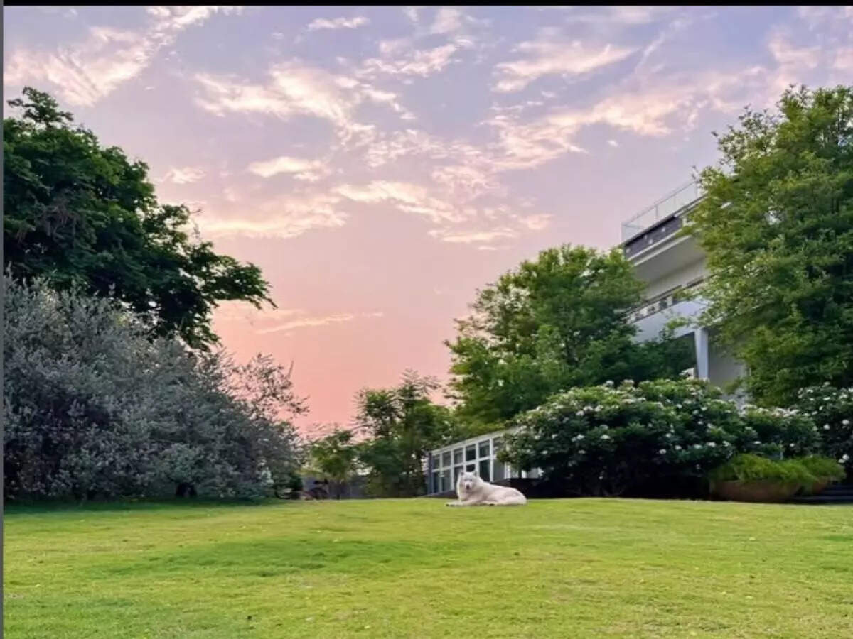 M.S Dhoni’s 'Kailashpati' farmhouse in Ranchi is a 7-acre natural retreat with private cricket nets and a dream garage; see photos