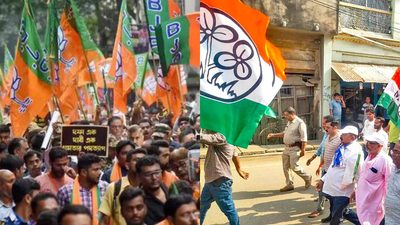 Bengal assembly elections: From TMC to BJP - top 10 wealthiest candidates in fray | India News