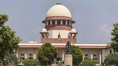 'Shameful to summon 3-year old': Supreme Court slams Haryana Police for 'insensitive' handling of child rape case | India News
