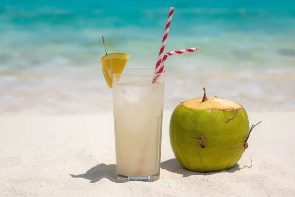 How to identify sweet coconut water before buying a coconut