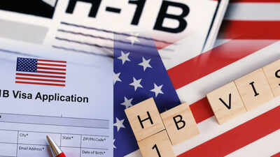 100+ days, not a single H-1B slot: Indian-American community asks USCIS to stop using Indians as political tool