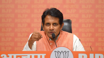 'Can’t survive without terrorism': BJP reacts to ex-Pakistan envoy's remarks on striking India | India News