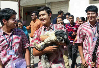 RBSE Class 12th Science result 2026: Check which subject records the highest pass percentage