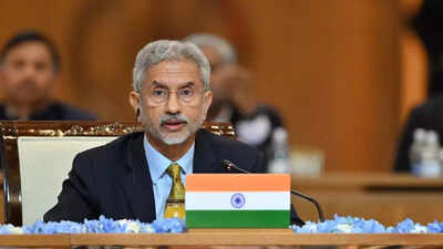 India not a 'dalaal' nation like Pakistan: S Jaishankar at all-party meet amid Iran mediation buzz | India News