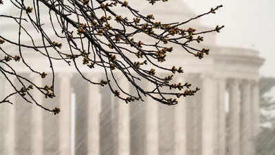 Severe storms force early school dismissals and closures across Washington, D.C. region