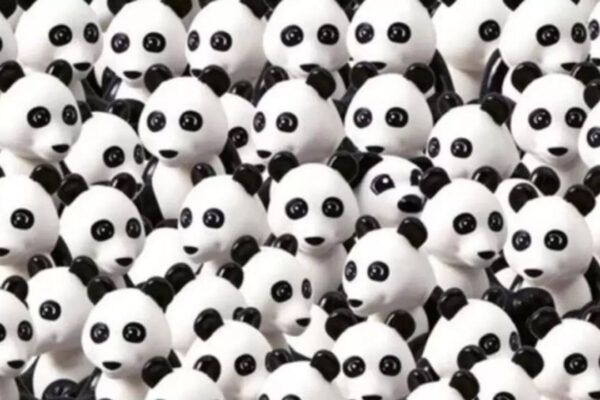 Optical illusion IQ test: Think you have sharp eyes? Find the hidden dog in this panda puzzle in 7 seconds