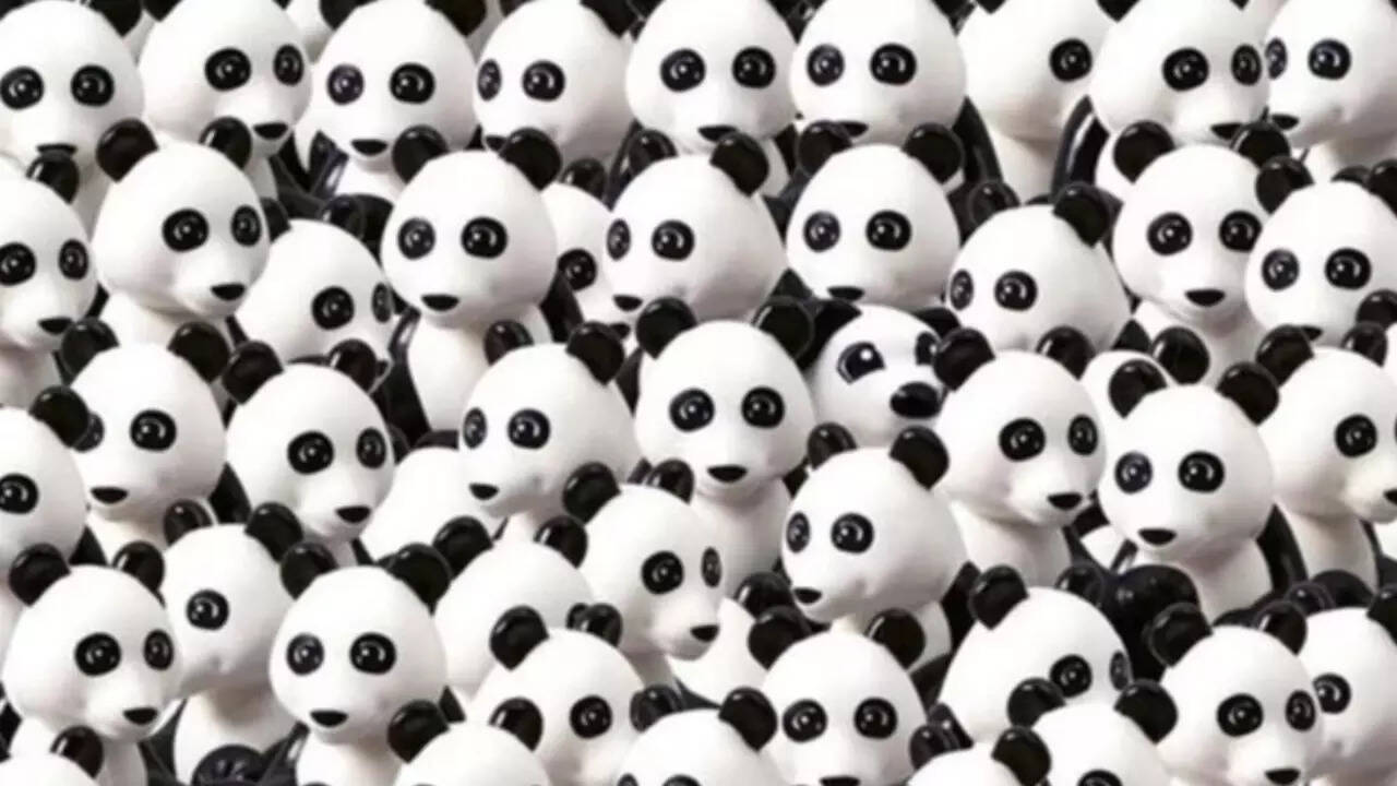 Optical illusion IQ test: Think you have sharp eyes? Find the hidden dog in this panda puzzle in 7 seconds