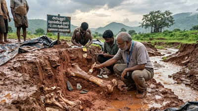 12,000-year-old fossil site uncovered in Tamil Nadu after heavy rainfall |