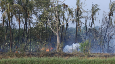 2 days after Tamil Nadu, 13 die in Kerala cracker unit blast | Kochi News