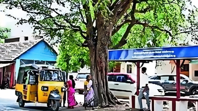 A village that rejects freebies & doesn't allow political advertisements | India News