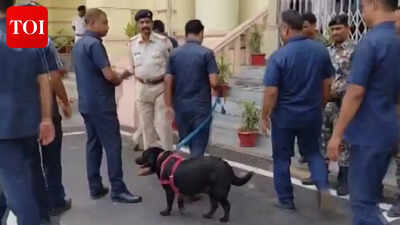 Bihar Assembly receives bomb threat, intensive search underway: Police | India News