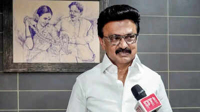 'Saffron lies surpasses blatant lies': Tamil Nadu CM Stalin attacks BJP-led Centre ahead of polls | India News