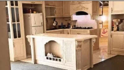 ‘Won’t leave’: Desi student lives alone in 9-storey building | India News