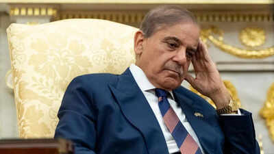 'Our bill has reached $800 million': Shehbaz Sharif says US-Iran war causing major economic blow to Pakistan