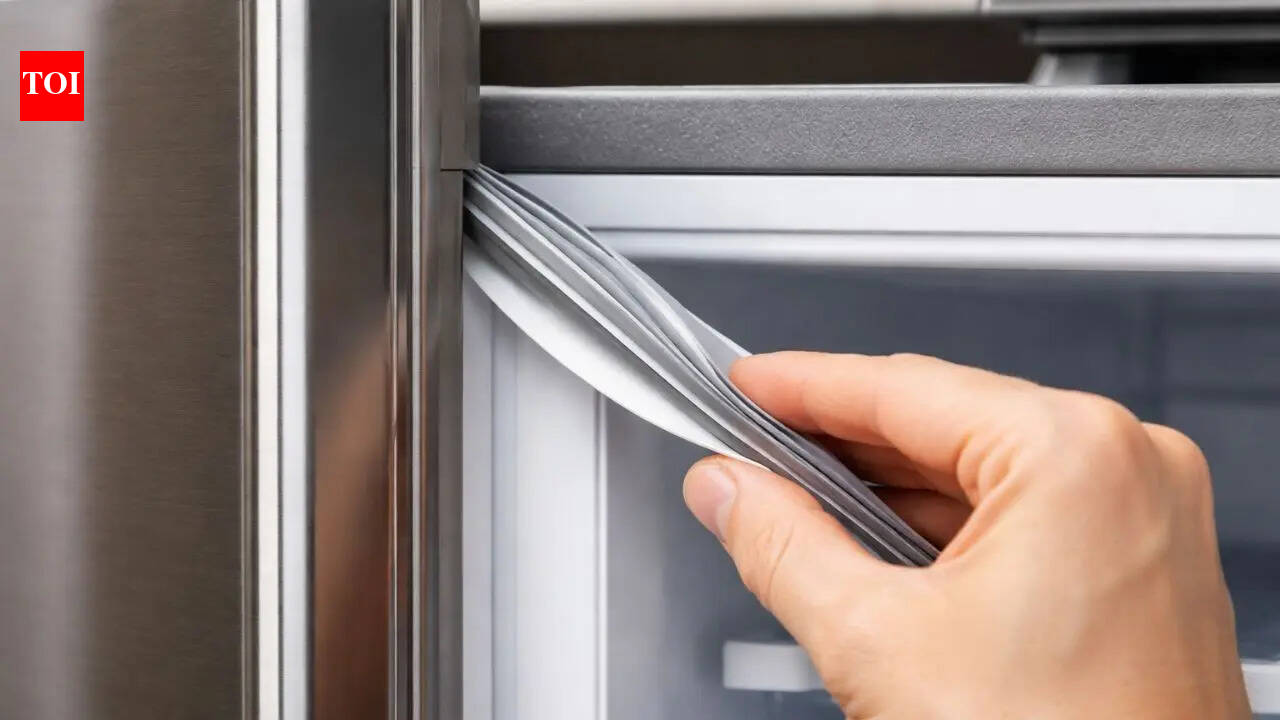 This small rubber strip on your fridge door could be reducing your electricity bill; here’s how |