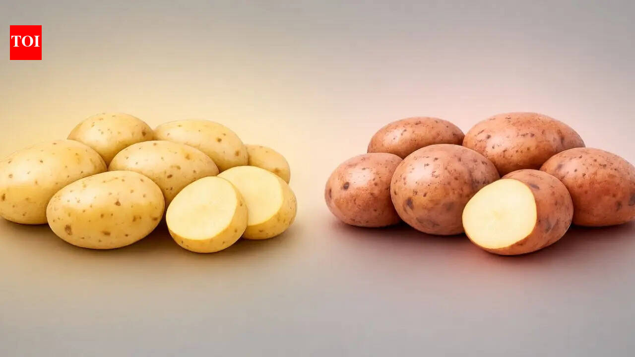 Chandramukhi vs Jyoti potatoes: Texture, taste, price and best uses that can completely change your Bengali cooking |