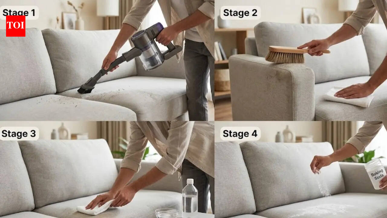 How to deep clean a sofa at home: Tips and tricks |