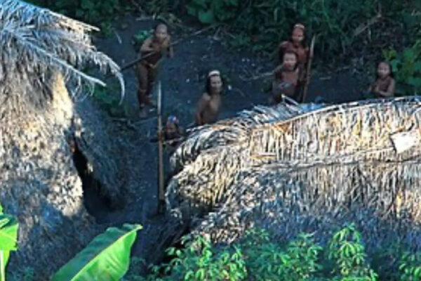 Drone footage reveals a rare glimpse of the Amazon’s last isolated tribes |