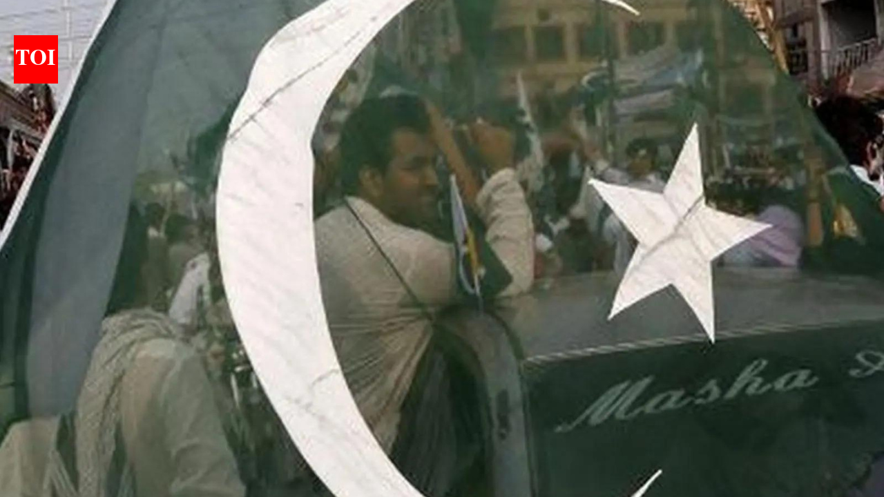 India Pakistan: 'Friendly ties with them do not land you up as part of Akhand Bharat': Pak Senator questions India-UAE ties